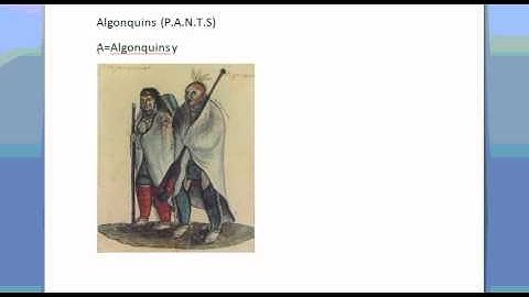 Module 1 Summary Video.wmv