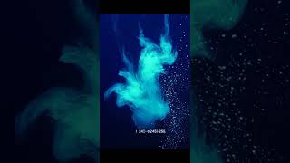 The Ocean's Secret Light Show ✨ #shorts