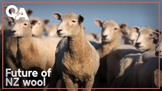 Will skills crucial for NZ's wool industry vanish? | Q+A 2024