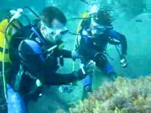 Panic - DIVERTRAINING