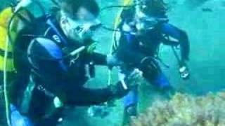 Panic - Divertraining