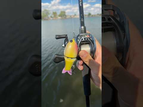 P!nk #handmadelure #swimbaitfishing #fishing #bassfishing #swimbait