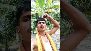 Shiksarwa#Roshan rohi#magahi hit rangdari song#chaudhari -official50