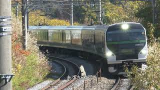 【4K】中央東線　E257系5000番台臨時列車【2023年11月3日】