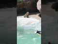 Human Pinball (Wait For It) #surfersofbali #surfingbali #surfer