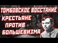 Тамбовское восстание Антонова: крестьяне против большевизма, причины, мятеж