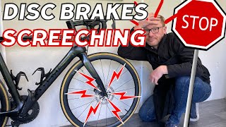 Stop Noisy Disc Brake Squeal And Clean Contaminated Brakes - Road Bike Maintenance
