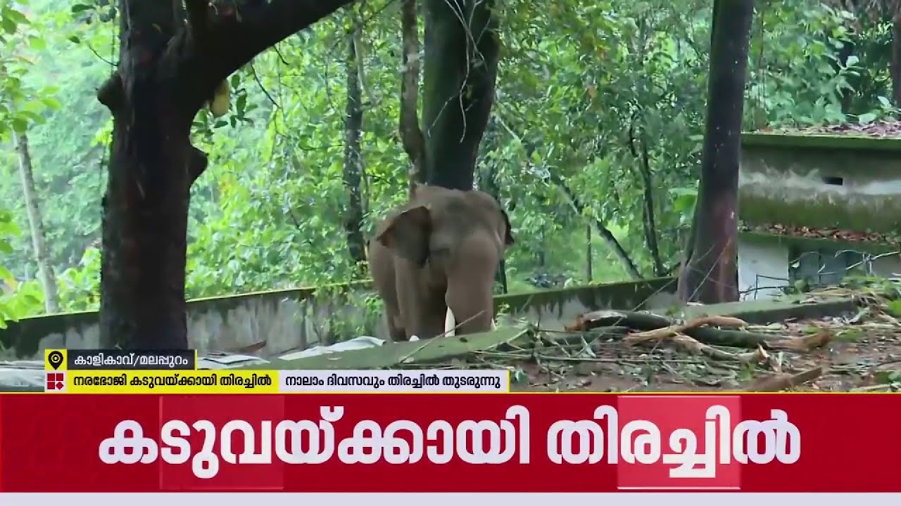 നരഭോജി കടുവക്കായുള്ള തിരച്ചില്‍ നാലാം ദിവസത്തിലേക്ക് | Malappuram