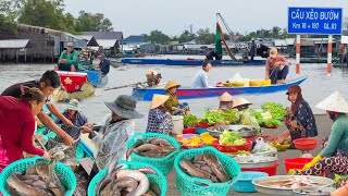 Câu Kiều Cá Ngát Trúng Mánh Tiền Triệu Ở An Biên║Chợ Thứ 3 Rắn Cá Đồng Nhiều Rẻ