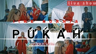 IINK KURNIA Live show || PUKAH || H.YAYAN JATNIKA ||