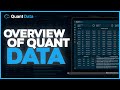 Overview of the quant data order flow platform
