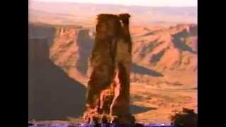 Miller Genuine Draft Light 1991 Commercial