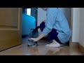 毎朝必ず、おはようを言いに来る猫が可愛すぎる