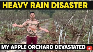 Celebrity Apple Orchard Disaster: We Lost Everything to This Rain Wealth