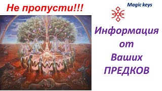 Мощный 🔥ПОТОК✨ информации от Ваших предков☀ 🌳☀