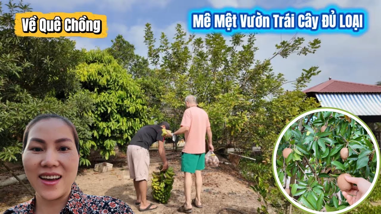 #717|| VỀ THĂM QUÊ CHỒNG _ Choáng Ngợp Trước Vườn TRÁI TRĨU CÀNH Nhà Anh Chồng Giữa Lòng Thành Phố.