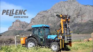 2017 Pruning in the Cape