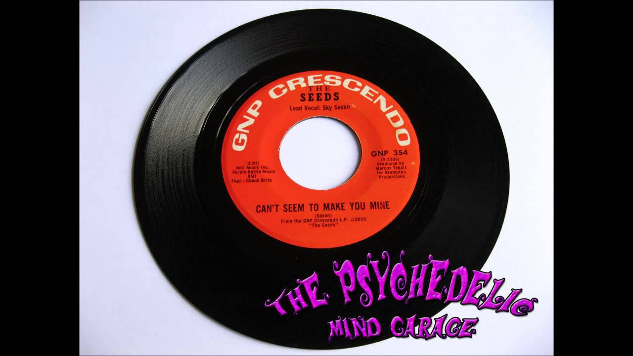 THE SEEDS - Can't Seem To Make You Mine