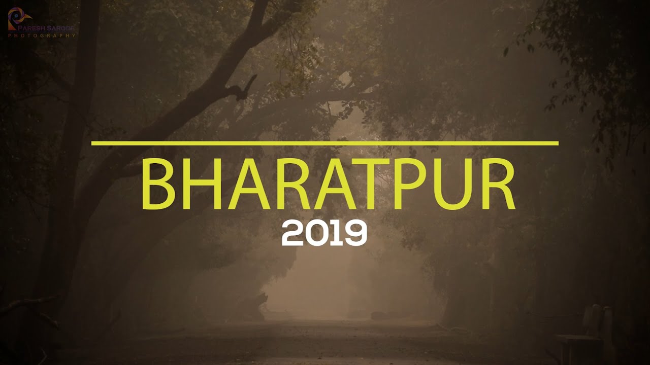 Bharatpur | Keoladeo National Park | Bird Sanctuary | Feb 2019 | Paresh Sarode Photography