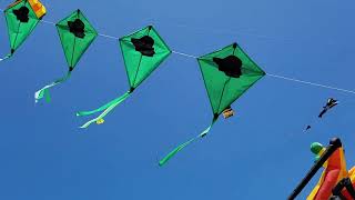 Kite Arch in flight