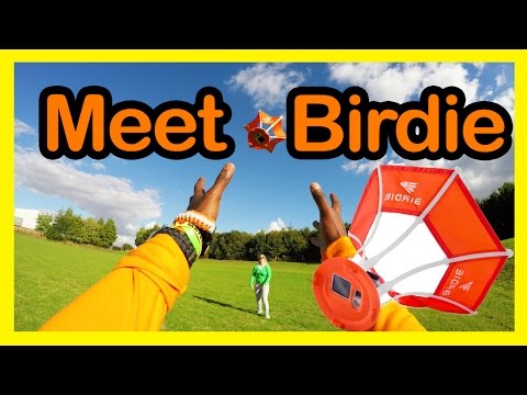 Birdie: Aerial GoPro Attachment