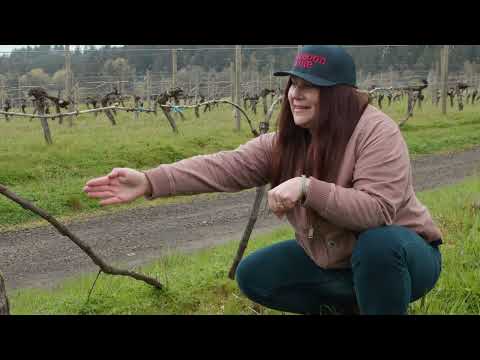 Shortform Masterclass: Oregon's