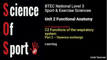 Unit 2 Functional Anatomy - C2 Functions of respiratory system (Part 2) Gaseous exchange