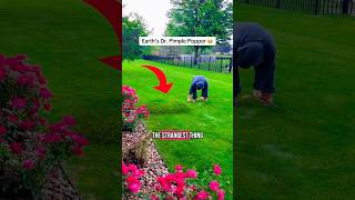 This Was Growing in their Lawn 😳