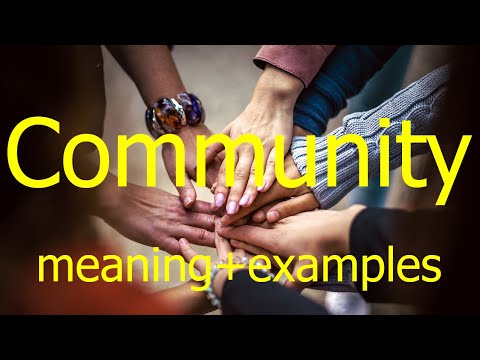 Community meaning In Urdu  Study English online  English to Urdu Hindi words & sentence translation