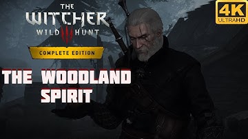 The Woodland Spirit | Skellige |The Witcher 3 | 4K | Old Gen Heavily Modded