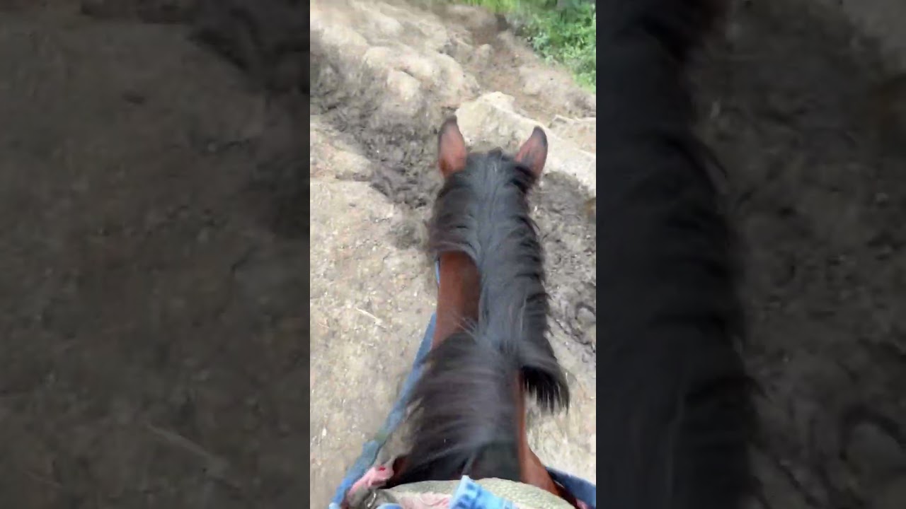 Kashmir Pahalgam Horse Riding