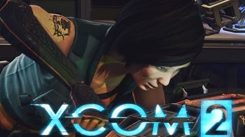 Xcom 2 Lily Shen over the last 20 years.
