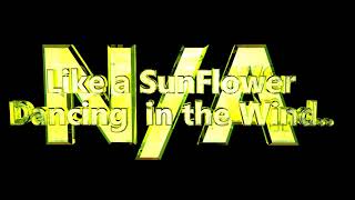 Like a SunFlower Dancing in the Wind - Liquid Drum and bass - N/A
