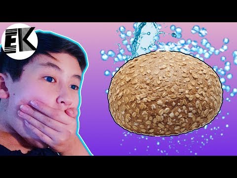 WATERPROOF BREAD!?!?(Must Watch)(Filming Friday’s #5)