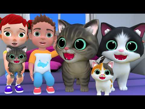 Billi ke Bache Meow | Cat Cartoon | Cat Meowing | Cat | Kittens | Billi | Cat Videos | Cats