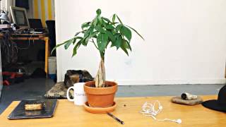 IMG 3872 1