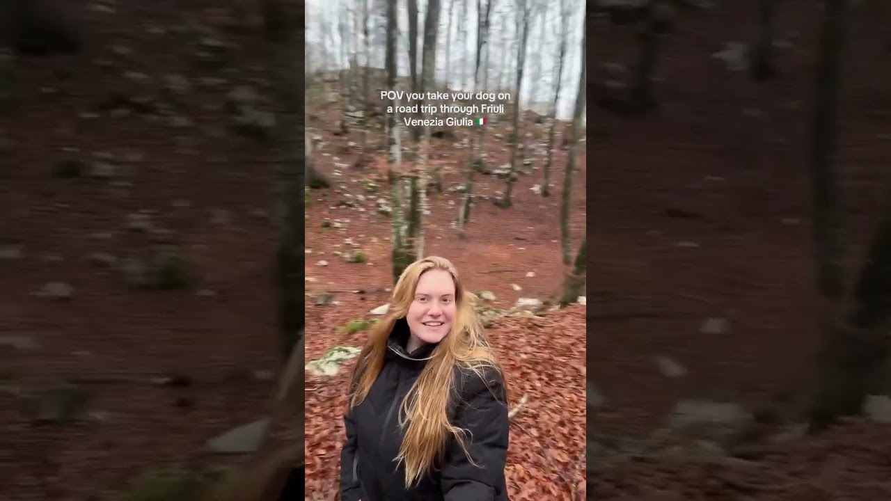 Italy is so dog friendly! This far, Italy has been the most dog-friendly place we’ve traveled