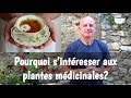 Pourquoi sintresser aux plantes mdicinales 