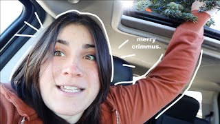 Getting Our First Real Christmas Tree by Beatrice Caruso 63,086 views 5 months ago 14 minutes, 59 seconds