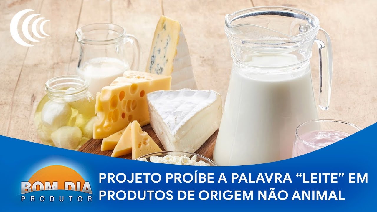 Como Separa A Palavra Leite - EDUCA