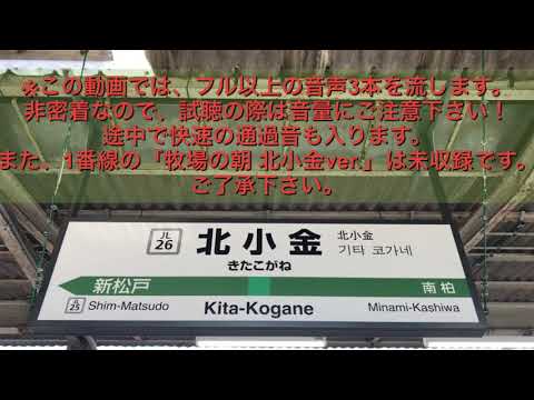 【非密着】JR北小金駅2番線旧発車メロディー（ムーンリバー 北小金ver.）