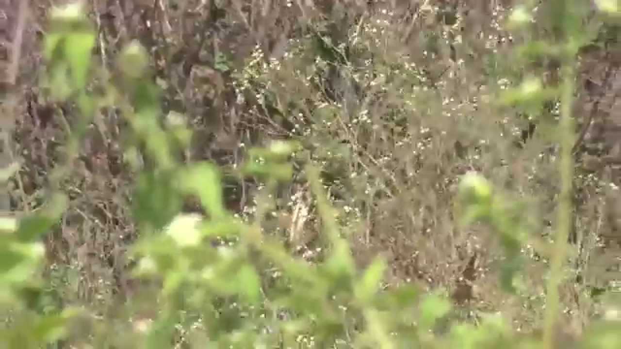 2400sqft Land for Sale108L in Anjanapura 11th Block, Bangalore Refind