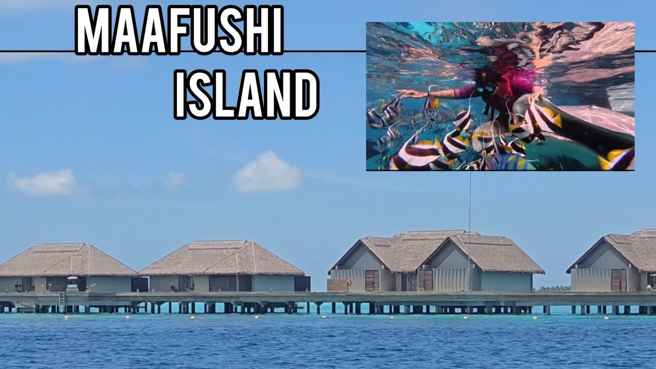 Maafushi island, Maldives/ tourist spot in Maldives/ mafushi tour /snorkeling /underwater experience