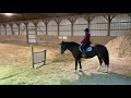 Mustang Salli &amp; Audrey Dixon - ACMC Ranch Pattern