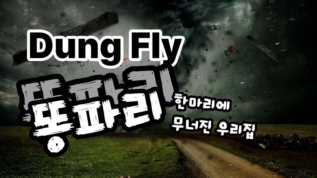 똥파리 (Dung Fly)