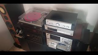 Chris Beard   All Night Long