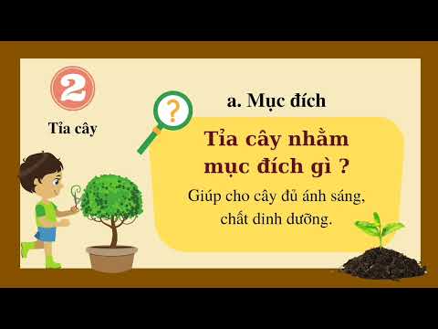 Tuần 24, 25 - Kĩ thuật 4 - Bài: Chăm sóc rau, hoa