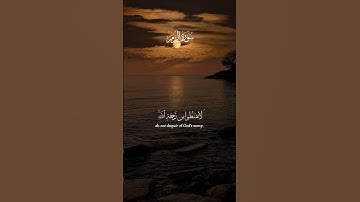 ((ما تيسر من سورة الزمر))#القرآن_الكريم#سورة_الزمر#هزاع_البلوشي#islamy