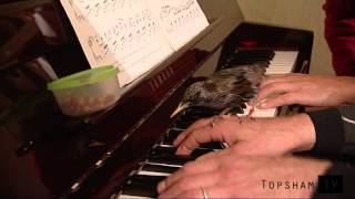 Arnie the intelligent starling