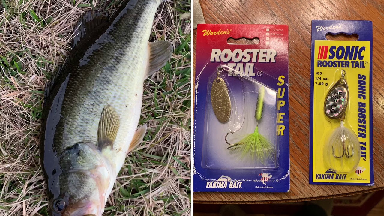 Using my New Rooster Tail Spinners for Bass and Crappie 